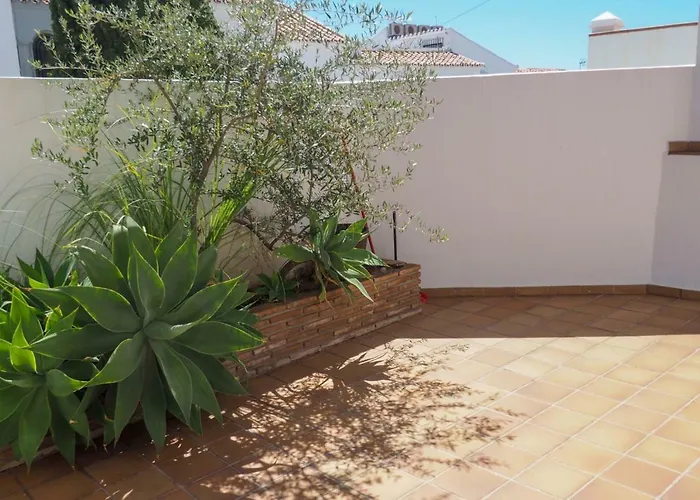 Paradise - El Paraiso